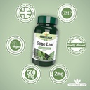 sage-leaf-50mg-500mg-equiv-90-tabs-4.jpg
