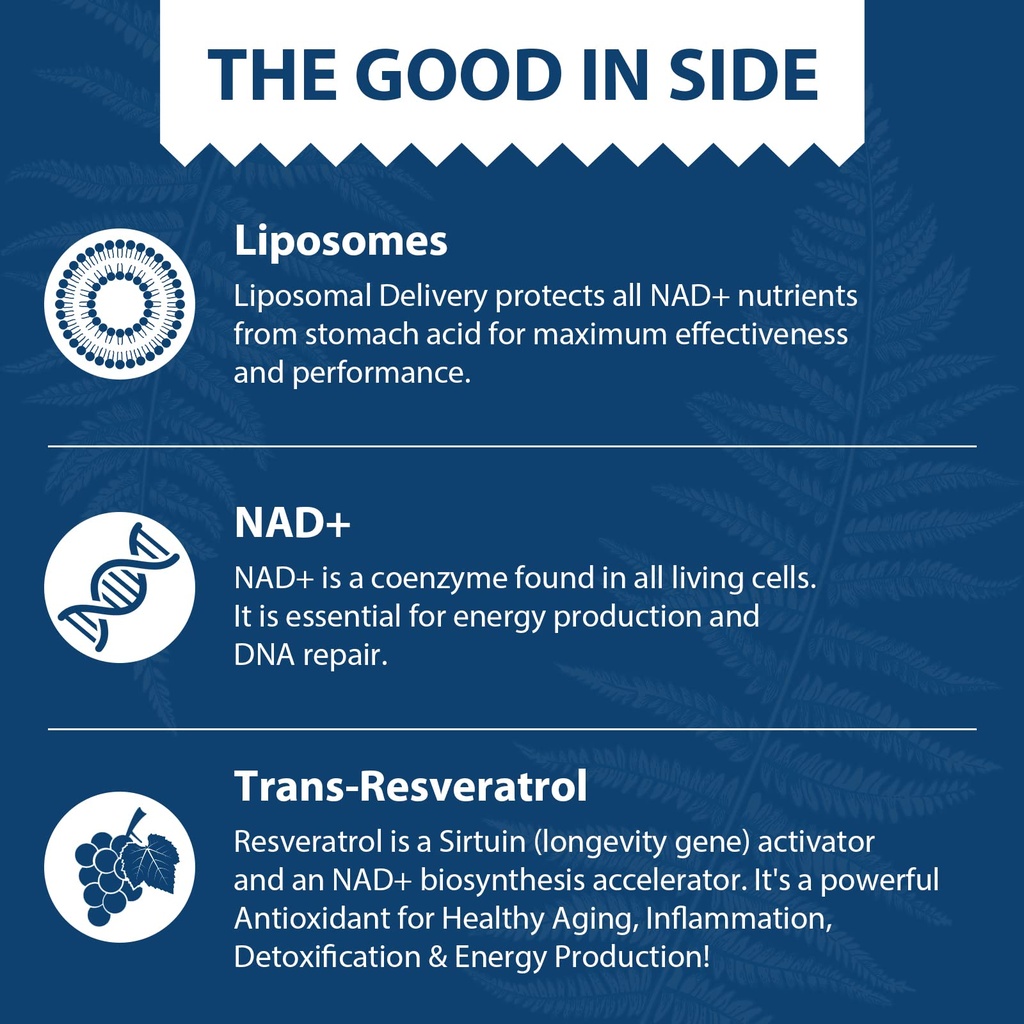 liposomal-nad-500-mg-trans-resveratrol-3-4.jpg