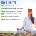 ancient-bliss-quercetin-with-bromelain-q-5.jpg