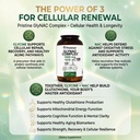 glynac-supplement-complex-large-size-tab-3.jpg