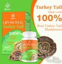 liposomal-turkey-tail-mushroom-capsules--5.jpg
