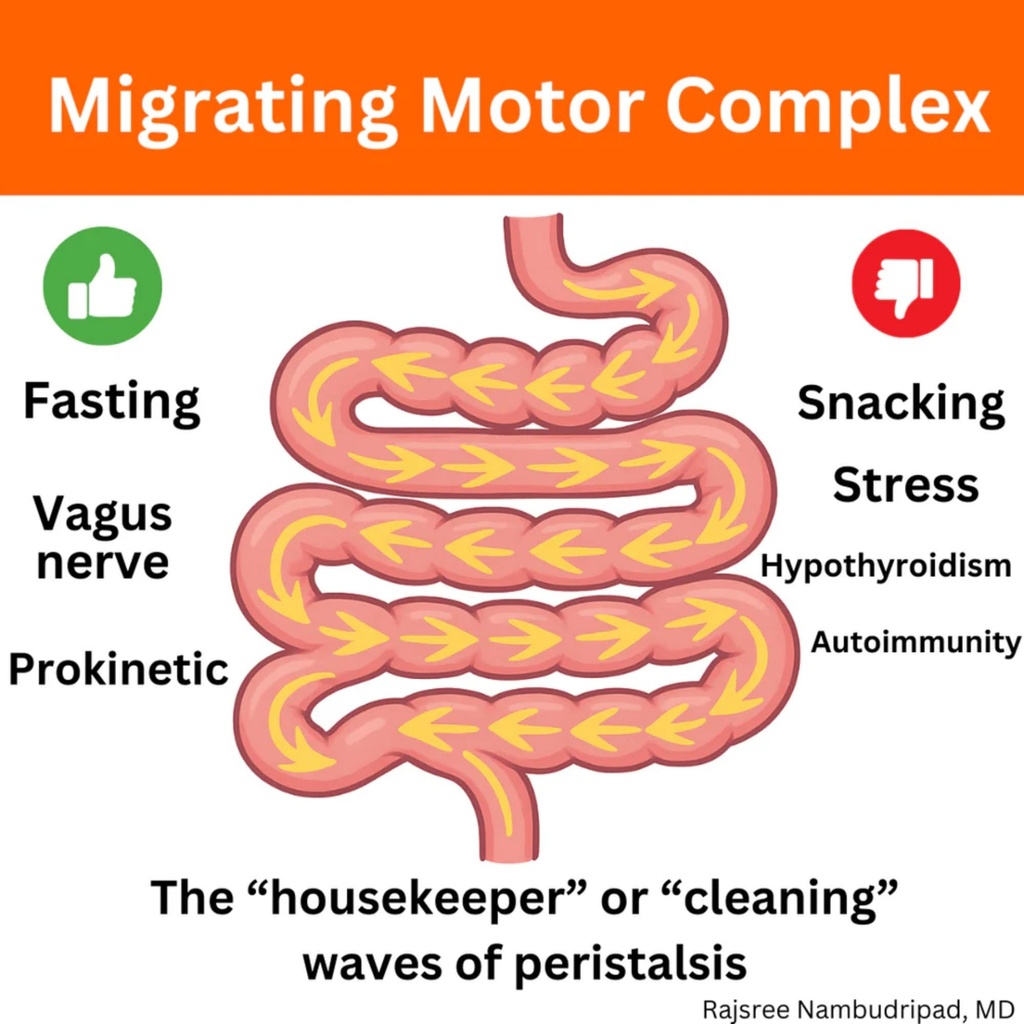 motility-activator-by-dr-rajsree-md-dige-3.jpg