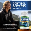 built-by-nature-calm-relaxation-focus-st-6.jpg