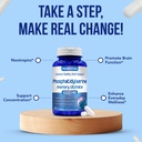 memory-supplement-for-brain-support-phos-6.jpg