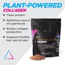 livingood-daily-plant-collagen-greens-po-2.jpg