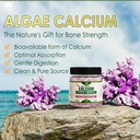 plant-based-calcium-gummies-600mg-with-v-4.jpg