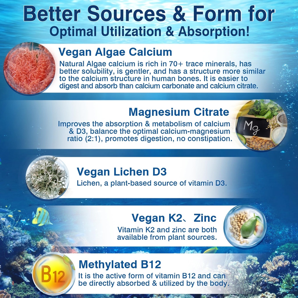 6-in-1-plant-based-calcium-supplements-f-4.jpg