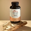 terra-origin-healthy-gut-capsules-with-i-2.jpg