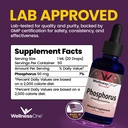 wellnessone-ionic-phosphorus-supplements-2.jpg