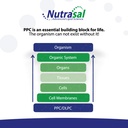 nutrasal-phoschol-liquid-concentrate-300-4.jpg