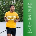 optimum-nutrition-creatine-monohydrate-p-5.jpg