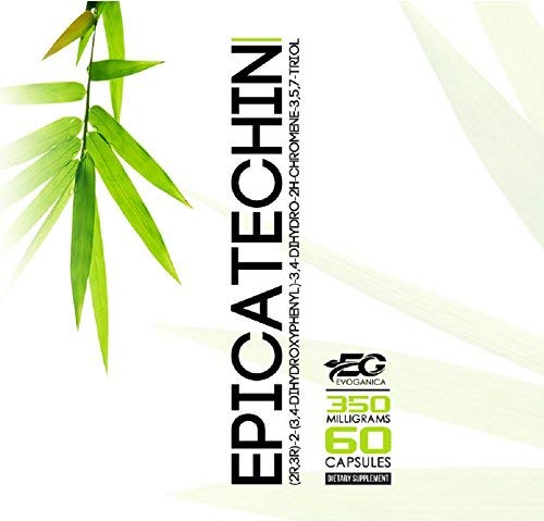 epicatechin-350mg-x-60ct-by-evoganica-2.jpg