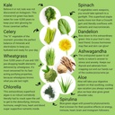smart-pressed-organic-greens-superfoods--4.jpg