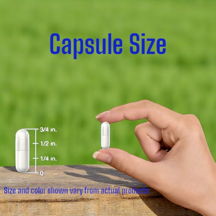 l-theanine-250-mg-vegan-capsules-240-cou-6.jpg
