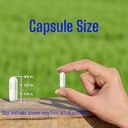 l-theanine-250-mg-vegan-capsules-240-cou-6.jpg