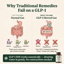 glp-1-sos-digestive-support-for-ozempic--6.jpg