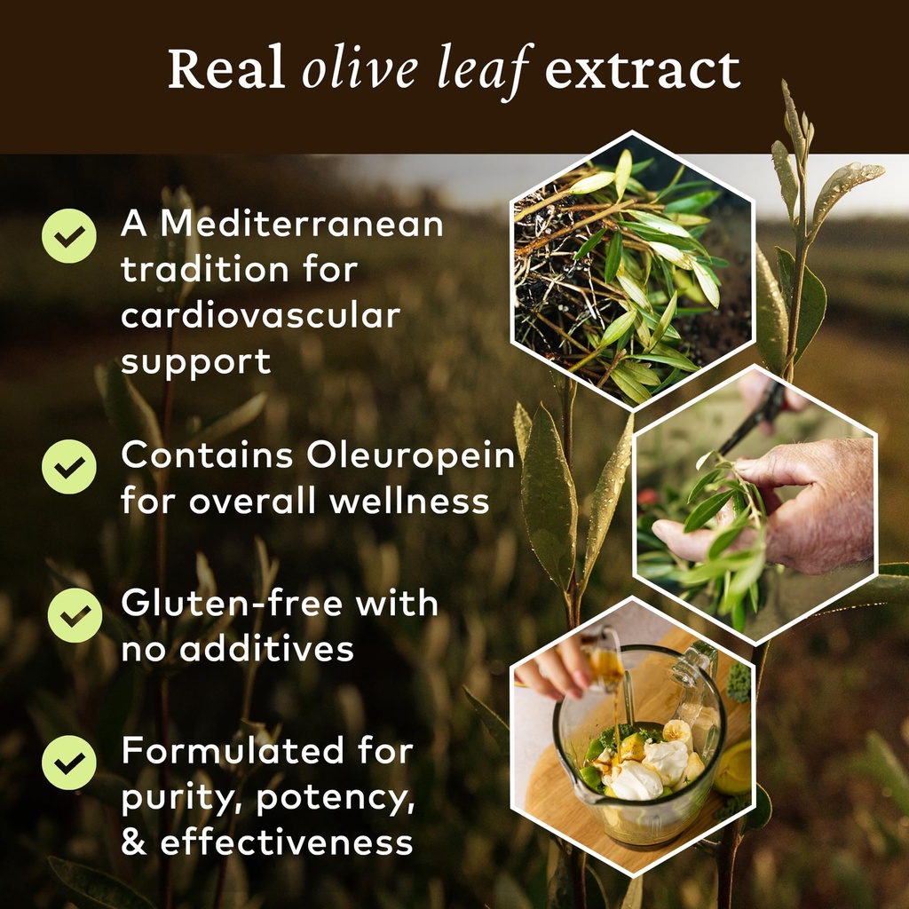 comvita-olive-leaf-extract-liquid-immune-5.jpg
