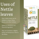 herbs-botanica-nettle-leaf-for-tea-cut-a-3.jpg