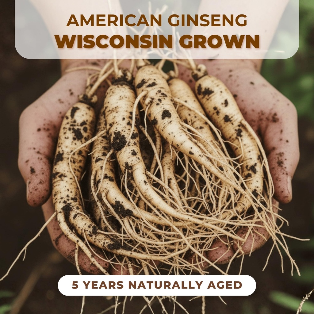 american-ginseng-root-3-years-organic-pa-3.jpg