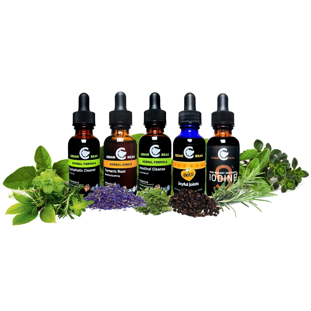 cedar-bear-turmeric-root-curcuma-longa-l-5.jpg