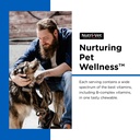 nutri-vet-multi-vite-chewables-for-adult-3.jpg