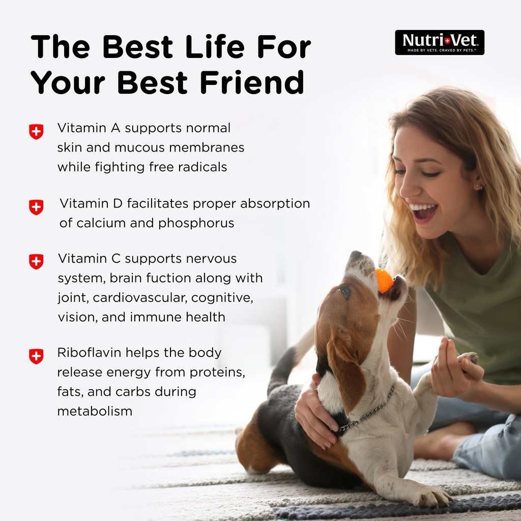 nutri-vet-multi-vite-chewables-for-adult-4.jpg