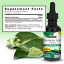 nature-s-answer-alcohol-free-gymnema-lea-3.jpg
