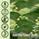 nature-s-answer-alcohol-free-gymnema-lea-5.jpg