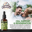 soursop-graviola-leaf-extract-liquid-dro-2.jpg