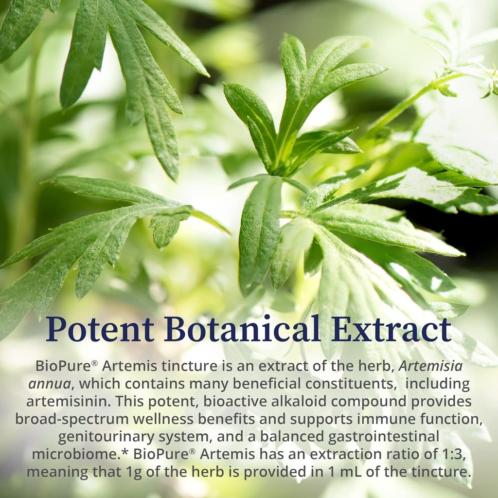 biopure-artemis-herbal-extract-of-artemi-5.jpg