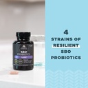 ancient-nutrition-probiotic-for-women-on-5.jpg