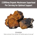 om-mushroom-superfood-chaga-organic-mush-5.jpg
