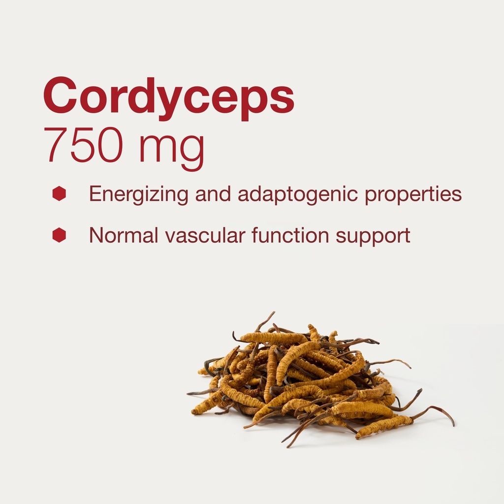 protocol-for-life-balance-cordyceps-750m-4.jpg