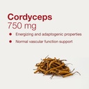 protocol-for-life-balance-cordyceps-750m-4.jpg