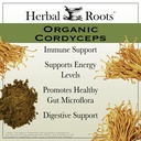 herbal-roots-organic-cordyceps-fruiting--3.jpg