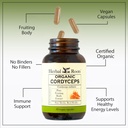 herbal-roots-organic-cordyceps-fruiting--4.jpg