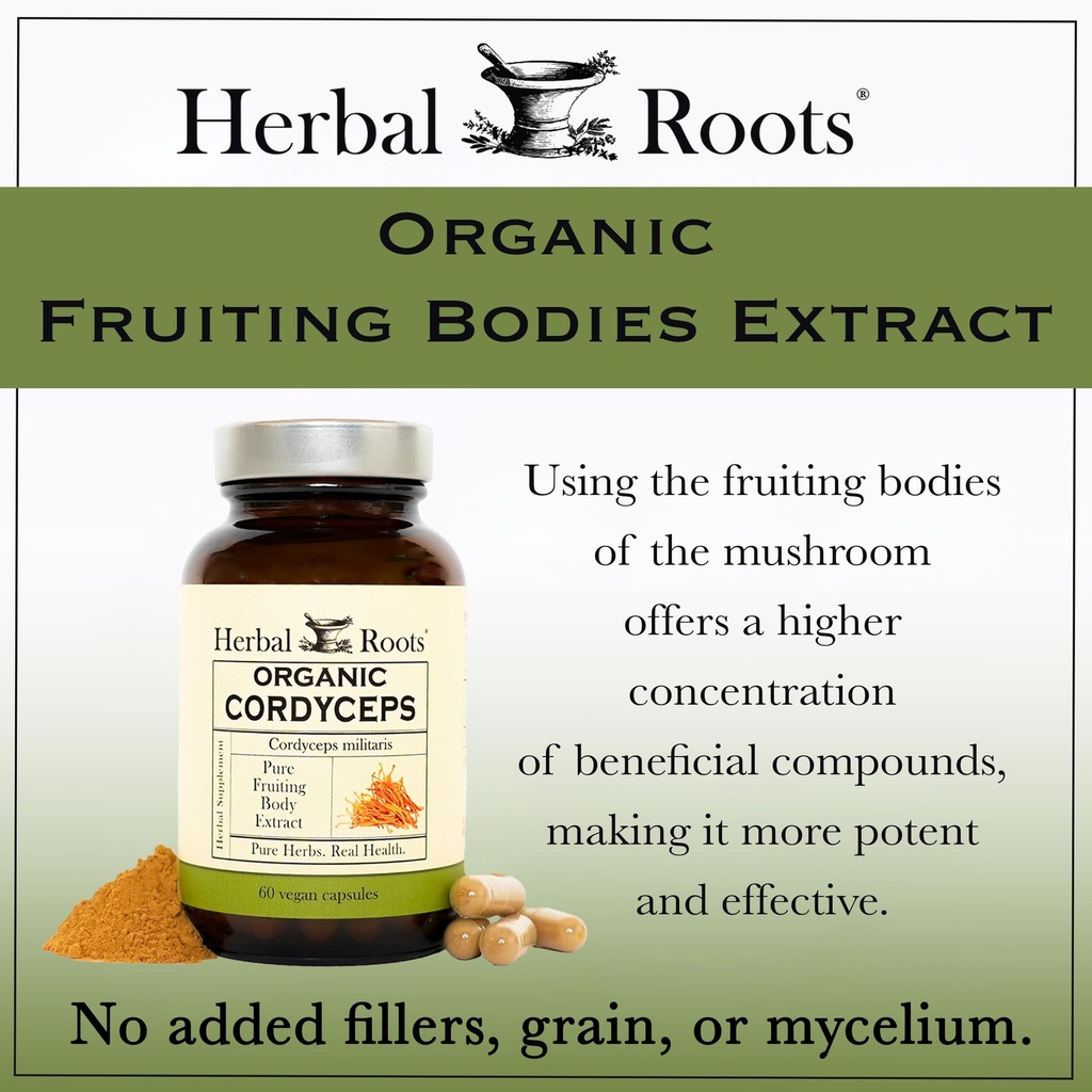 herbal-roots-organic-cordyceps-fruiting--5.jpg