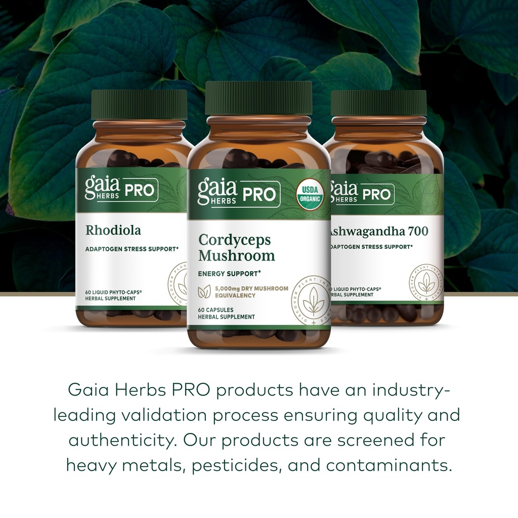 gaia-herbs-pro-cordyceps-mushroom-60-cap-6.jpg