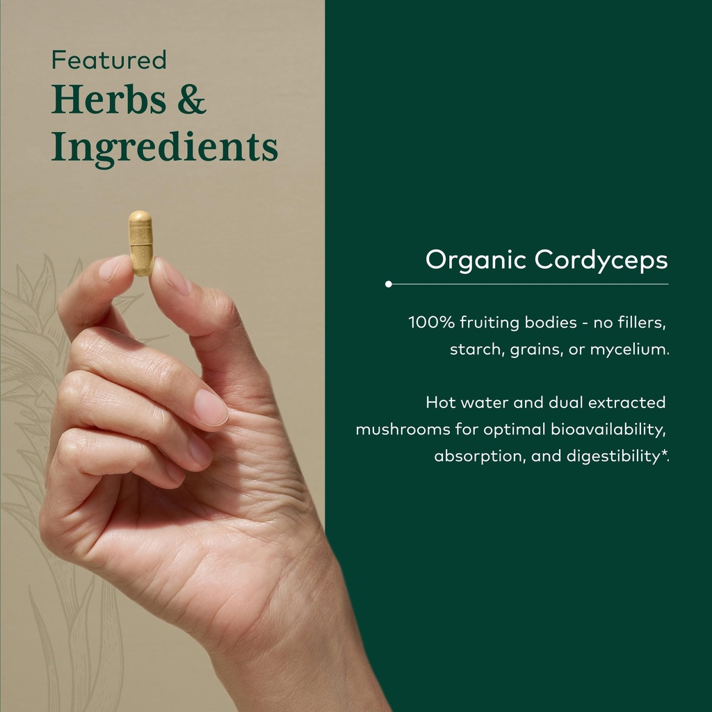 gaia-herbs-pro-cordyceps-mushroom-60-cap-4.jpg