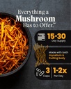 mushroom-wellness-cordyceps-blend-with-r-3.jpg