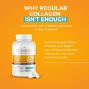 colasil-collagen-booster-capsules-organi-3.jpg