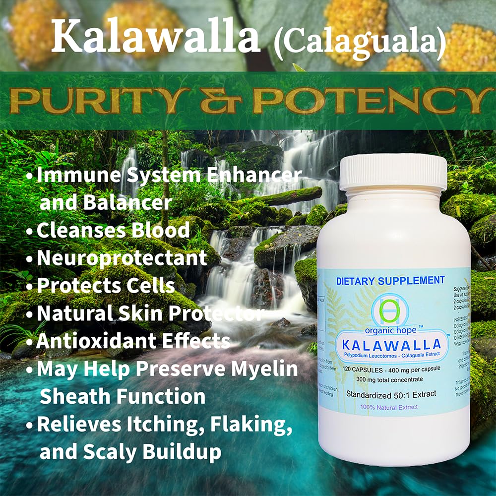 calaguala-with-polypodium-leucotomos-for-5.jpg