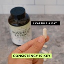 amandean-boswellia-serrata-extract-500mg-5.jpg