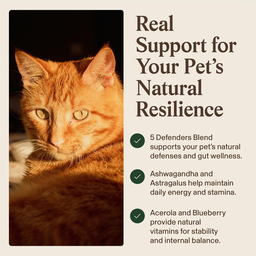 real-mushroom-immune-pet-chews-for-daily-5.jpg