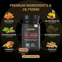 organic-irish-sea-moss-capsules-sea-moss-2.jpg