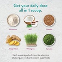 vidapura-keto-green-protein-shake-by-dr--5.jpg