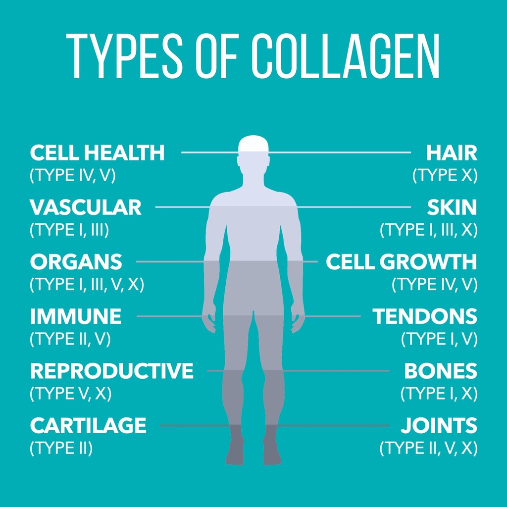 naturesplus-collagen-peptides-berry-lemo-4.jpg