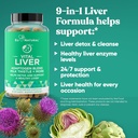 purge-uric-acid-flush-and-vital-liver-bu-5.jpg