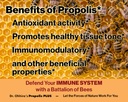 dr-ohhira-s-propolis-plus-30-capsules-wi-4.jpg