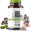 Økologisk Irish Sea Moss Kapsler: Fremstillede Sea Moss, Burdock Root & Bladderwrack Prebiotic Super Food for Immunsupport, Thyroid Support, Natural Energy, -120 Caps